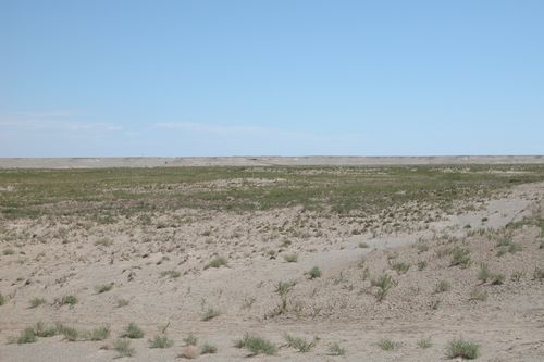 荒漠草原