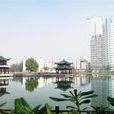 天門東湖公園 天門東湖公園