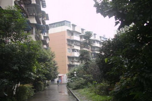 勤勇東區 勤勇東區