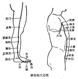 大包穴