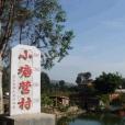 小唐營村 小唐營村