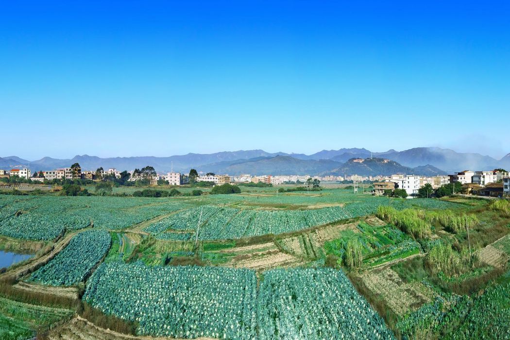 衣六地村