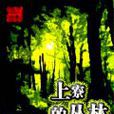 上寮的叢林 上寮的叢林
