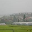 得食村 得食村