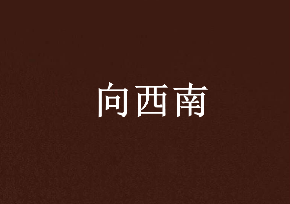 向西南 向西南