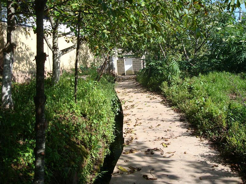 青羊口村 青羊口村