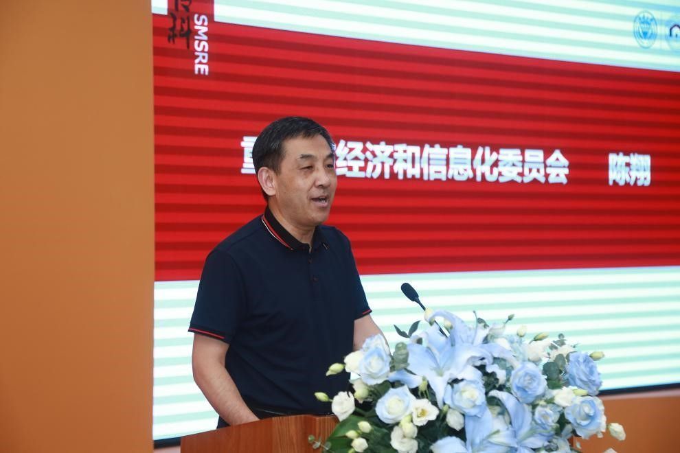 陳翔(重慶市經濟信息委二級巡視員)