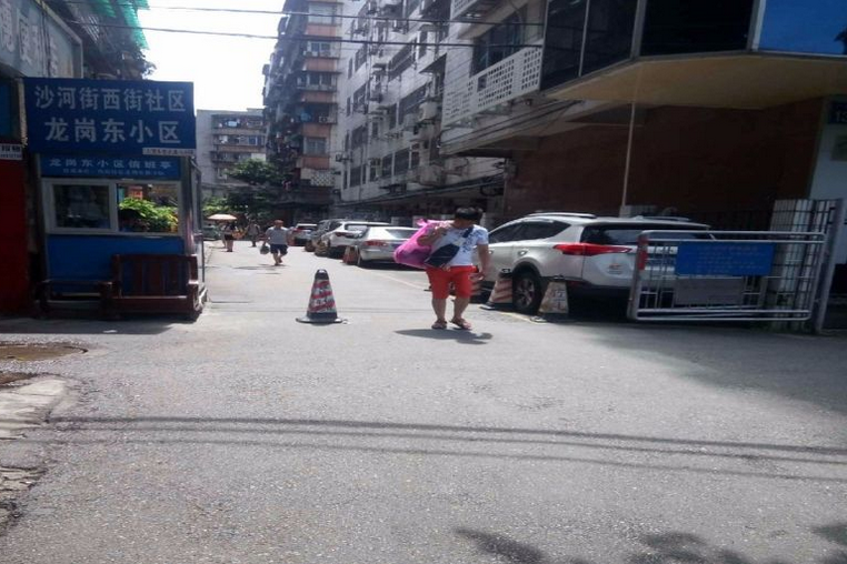 龍崗東小區 龍崗東小區