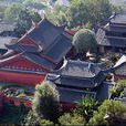 龍興講寺 龍興講寺