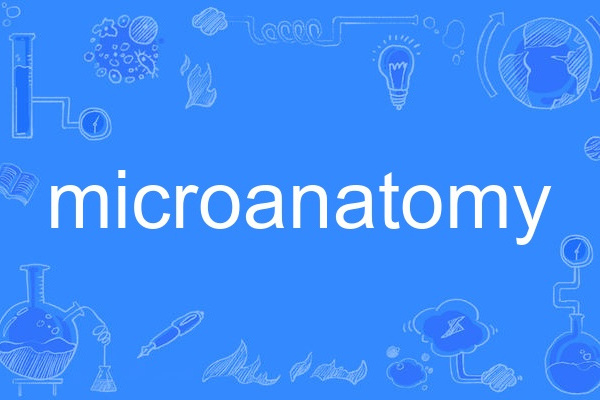 microanatomy microanatomy