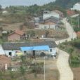 牛嶺村(山西省長治市平順縣石城鎮下轄村) 牛嶺村(山西省長治市平順縣石城鎮下轄村)