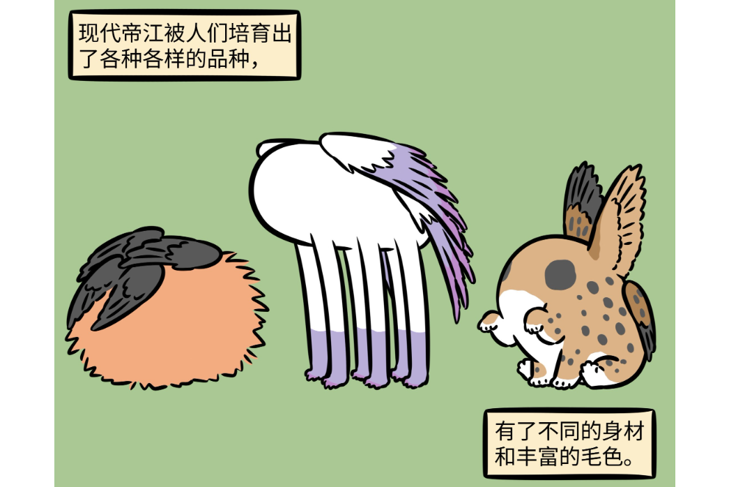 帝江(漫畫《非人哉》神獸) 帝江(漫畫《非人哉》神獸)