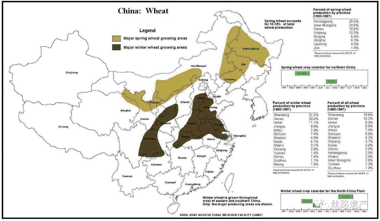 中國小麥主產區