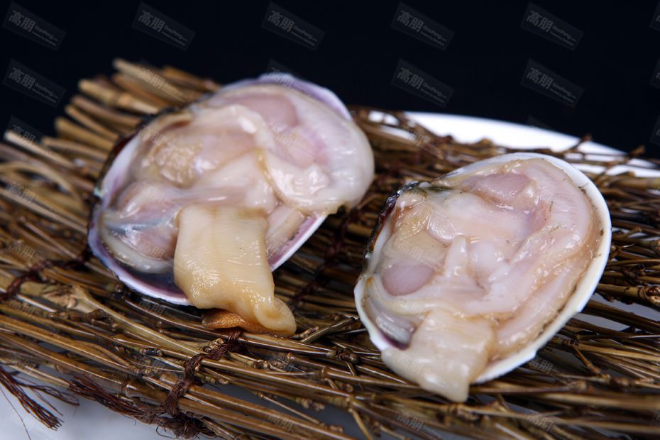 鮮紫石房蛤肉