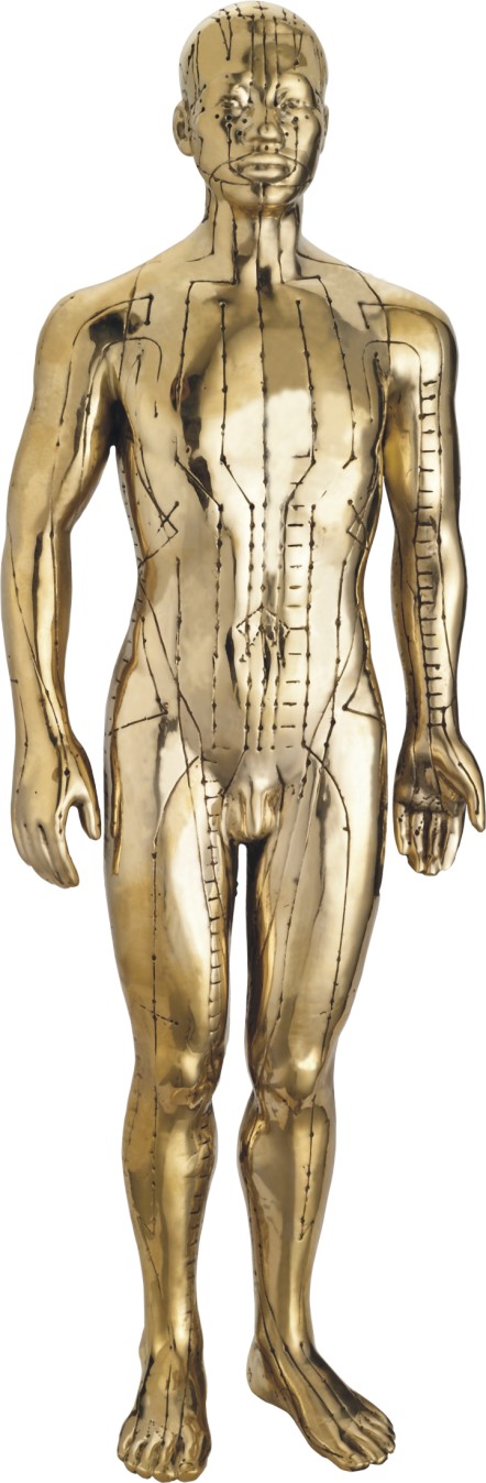 純銅人體模型