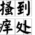 搔到癢處 搔到癢處