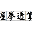 握拳透掌 握拳透掌