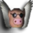 FlyingPig FlyingPig