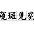 窺斑見豹 窺斑見豹