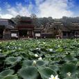 梁村(山西省新絳縣泉掌鎮下轄村) 梁村(山西省新絳縣泉掌鎮下轄村)