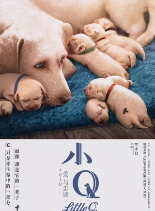 袁澧林 袁澧林