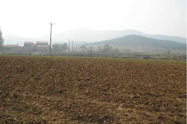 焦莊遺址 焦莊遺址