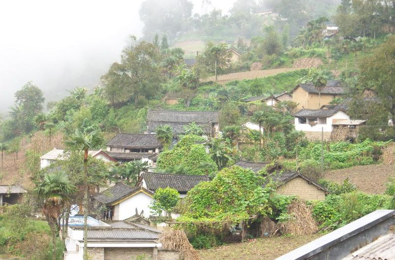 箐中村(雲南省祥雲縣祥城鎮下轄村) 箐中村(雲南省祥雲縣祥城鎮下轄村)