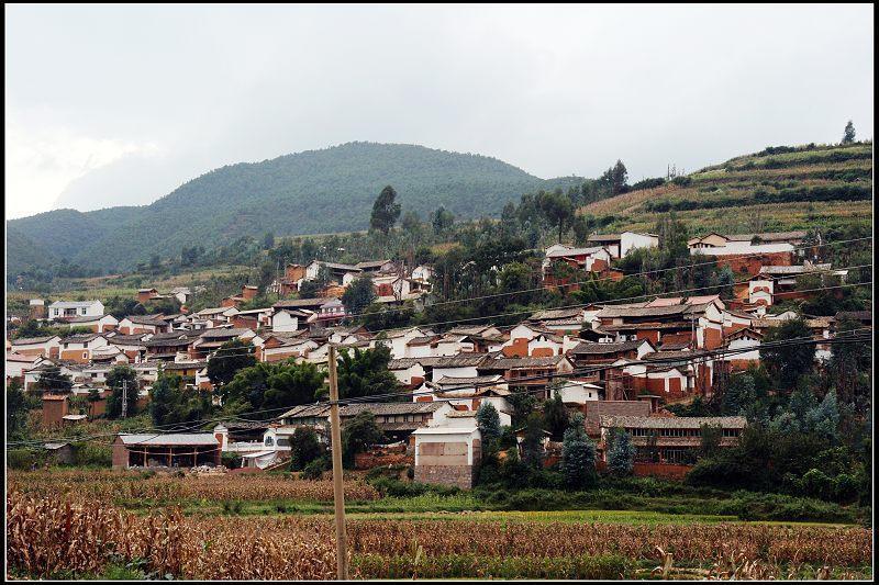 仁和里村 仁和里村