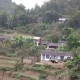 蕨蕨林村(雲南省鳳慶縣洛黨鎮下轄村) 蕨蕨林村(雲南省鳳慶縣洛黨鎮下轄村)