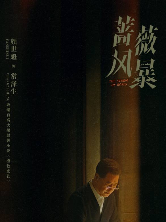 薔薇風暴(2024年惠楷棟執導的職場劇)