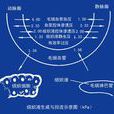 經濟微循環 經濟微循環