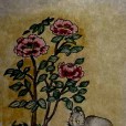 牡丹花圖 牡丹花圖