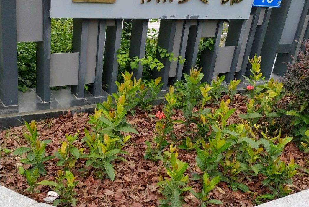 樵貴邨 樵貴邨