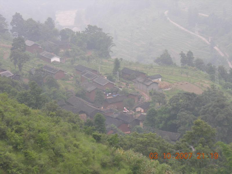 金河村委會 金河村委會