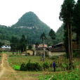 木扭村 木扭村