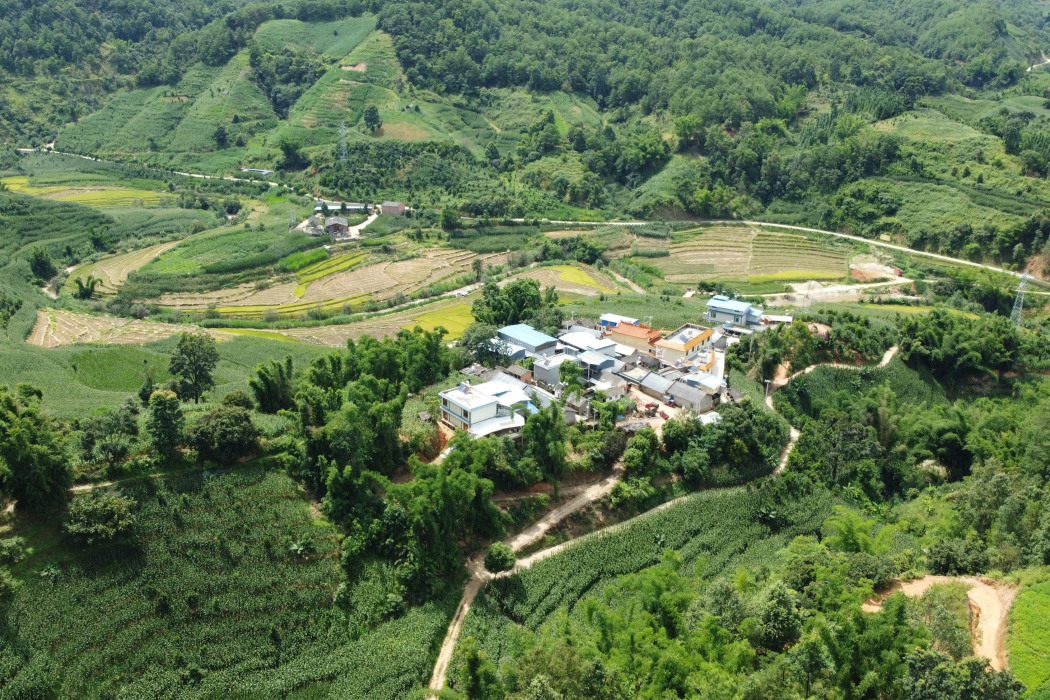 千信村 千信村