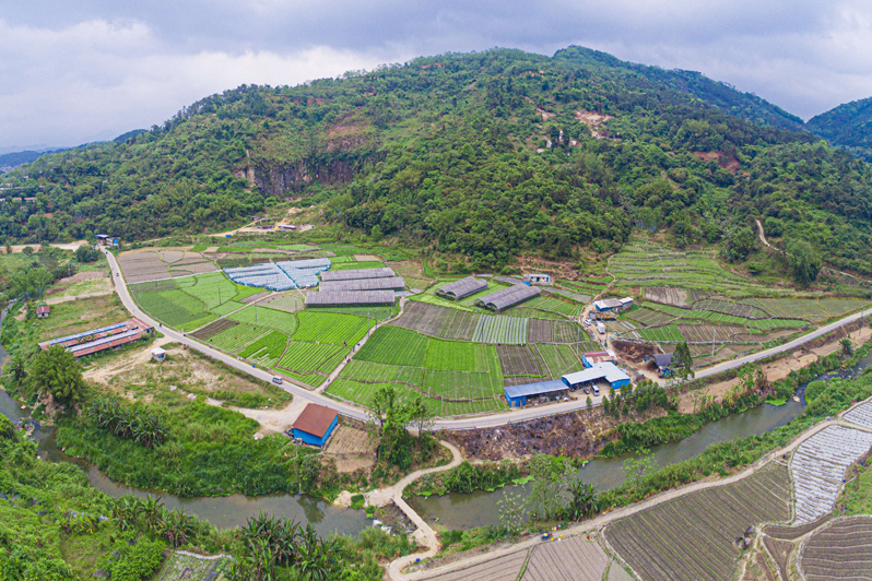 黎垌村(廣西壯族自治區梧州市岑溪市誠諫鎮下轄村) 黎垌村(廣西壯族自治區梧州市岑溪市誠諫鎮下轄村)