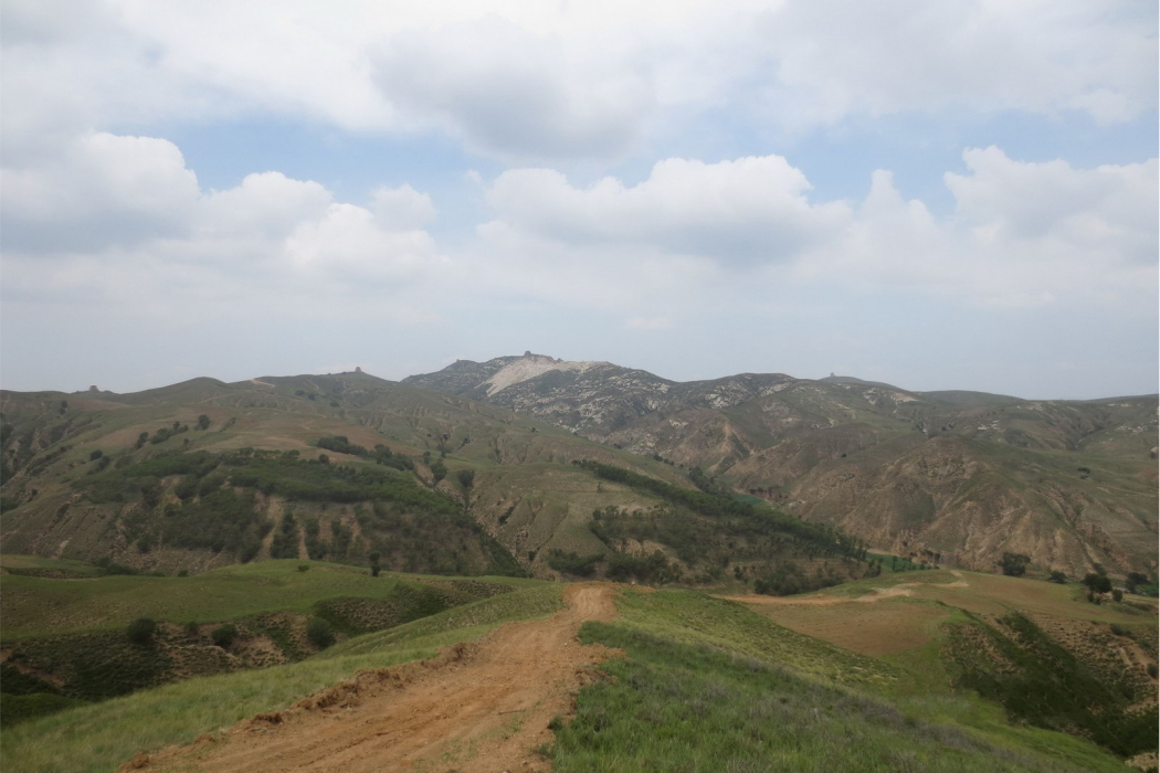 樺林山 樺林山