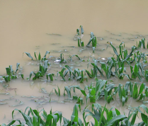 土地淹沒 土地淹沒