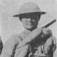 王元龍(抗日英雄) 王元龍(抗日英雄)
