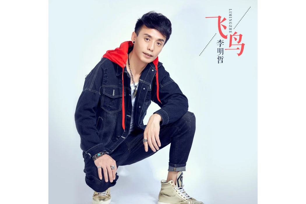 飛鳥(李明哲演唱的歌曲) 飛鳥(李明哲演唱的歌曲)