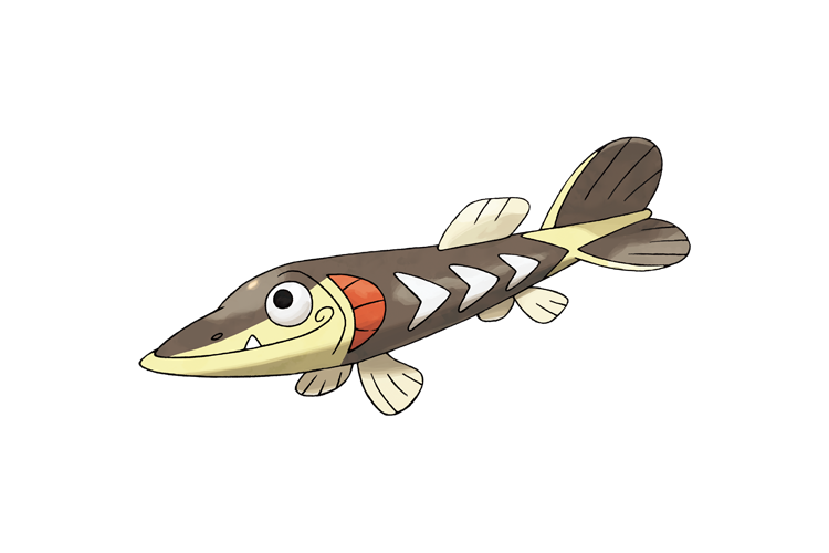 刺梭魚 刺梭魚
