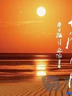 丁木