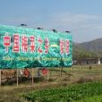 矮陂鎮 矮陂鎮