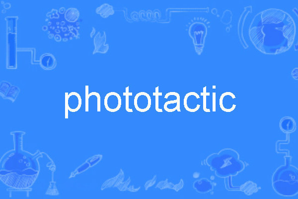 phototactic phototactic