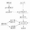 中樞抑制 中樞抑制