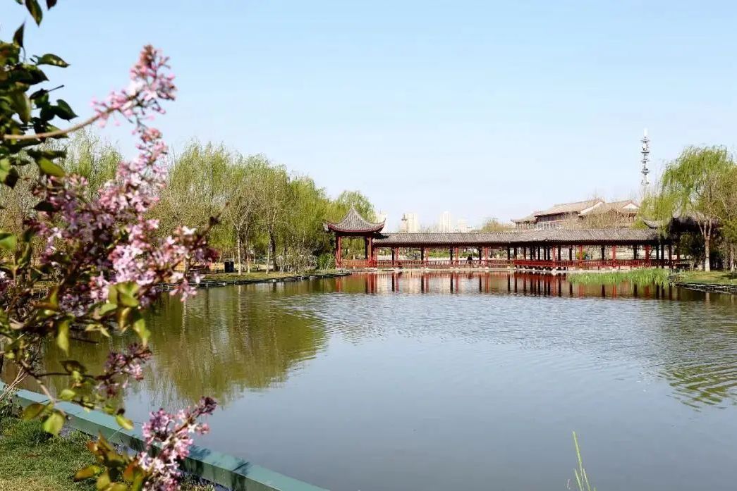 潭園(正定縣的景點) 潭園(正定縣的景點)