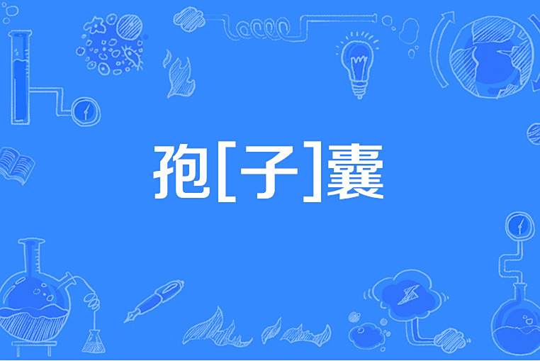 孢[子]囊