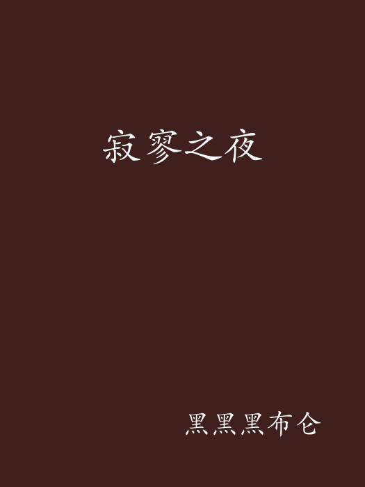 寂寥之夜 寂寥之夜