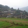 先開田村 先開田村